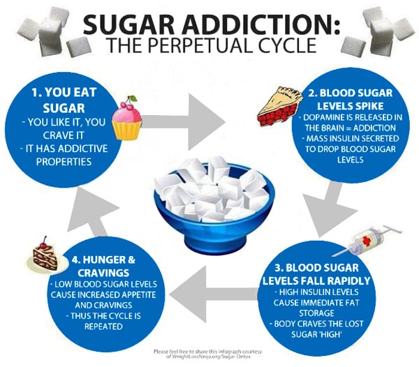 Infographic - Sugar Addiction: the perpetual cycle