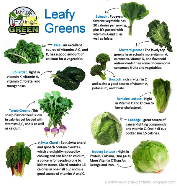 Infographic Leafy Greens