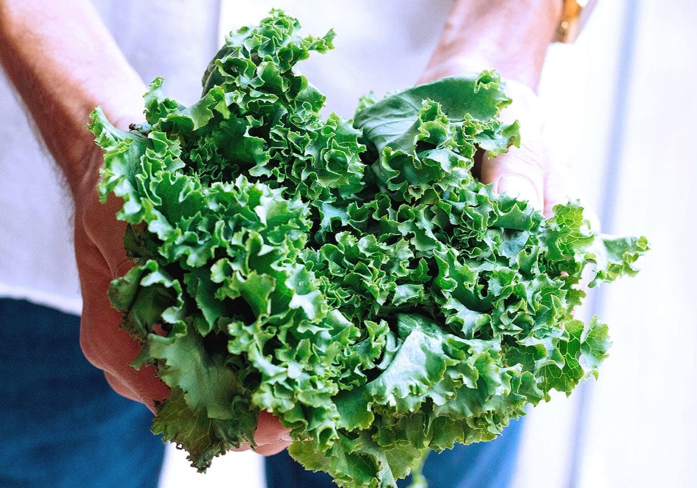 Get Your Leafy Greens On!